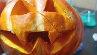 видео: Скоро вторая серия картинка: Скоро вторая серия