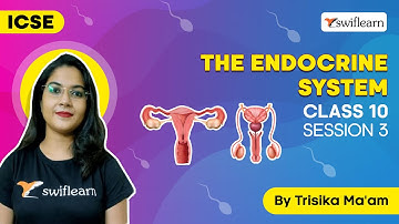 The Endocrine System | ICSE Class 10 | Biology Online Class | Session 3 - Swiflearn