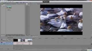 Sony Vegas Tutorials for Beginners - Lesson One - Workspace