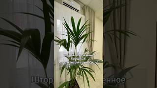 Какую ткань выбрать для штор в общественное помещение? #дизайнофиса #пожаробезопасность