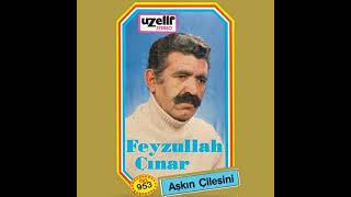 Feyzullah Çınar - Ağgül Seni Camekanda Görmüşler Resimi