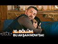 Halef Köklerin Çağrısı 16 Bölüm Bu Akşam NOW Da