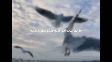 ﴿إِنَّ اللَّهَ وَمَلائِكَتَهُ يُصَلّونَ عَلَى النَّبِيِّ﴾ سورة الأحزاب ، القارئ : إسلام صبحي