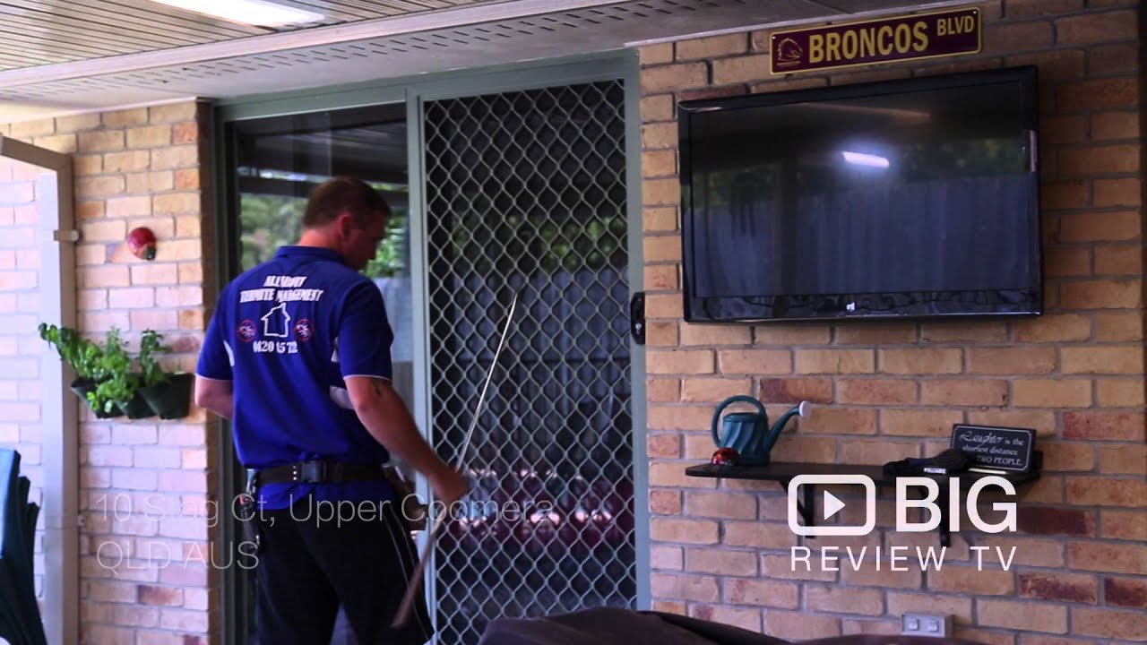 Services All About Termite Management Pest Management Gold Coast QLD Review Content