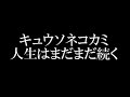 キュウソネコカミ/人生はまだまだ続く 3枚目のフルアルバムリリース!