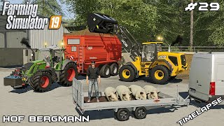 Transporting DEAD pigs & MANURE with @kedexworld | Hof Bergmann | Farming Simulator 19 | Episode 29