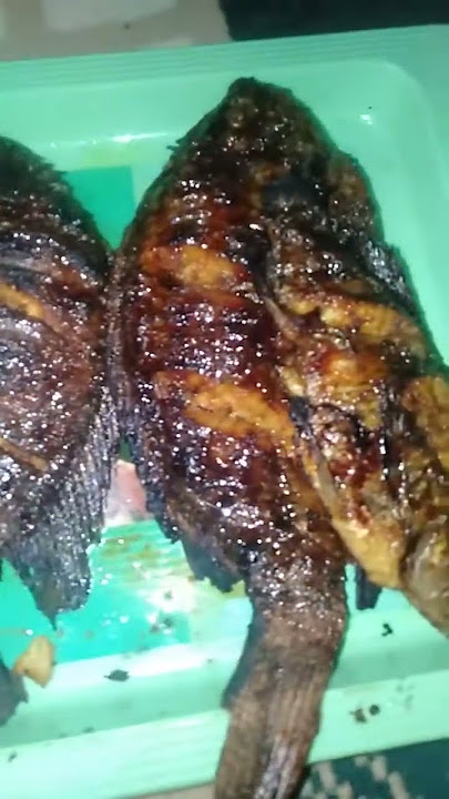 Story' wa bakar ikan sambal kecap di waktu malam hari