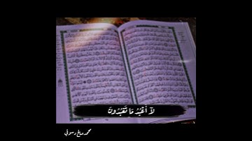 #ناصرالقطامي سورة الكافرون