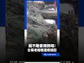 疑不敵豪雨倒塌!台南老榕樹遭連根拔起 #三立新聞LIVE #shorts