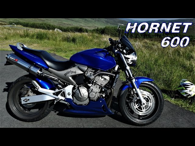 Honda Hornet 600  Walkaround & Ride (Pure sound) 