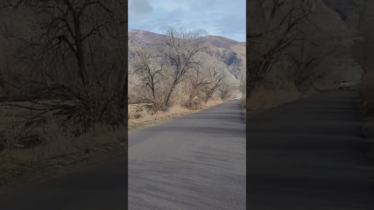 Utah Outdoor Nature Walk 