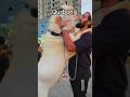 qurbani kurban kar #viral trending video song #I love u #viral trending video #school ke kisi mein#v
