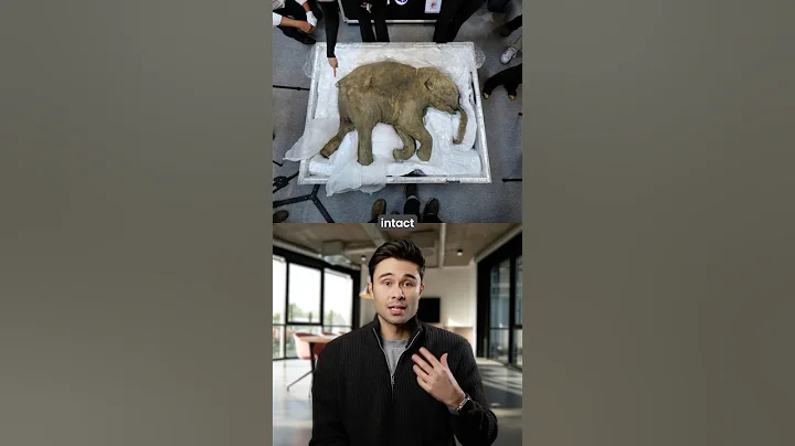 Wooly Mammoth coming back from extinction? #trendingshorts #future #science thumbnail