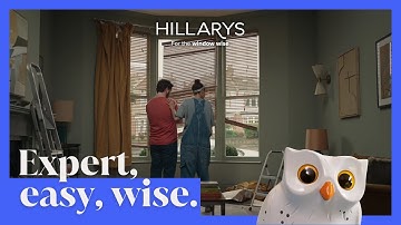 Hillarys, for the window wise  |  Our new brand campaign