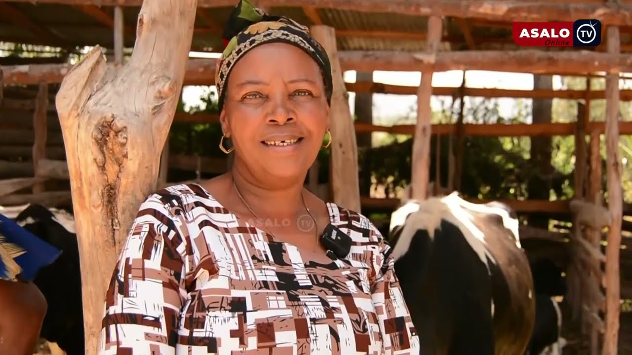 WANACHAMA WA CHAMA CHA MAZIWA OLTURUMET ARUMERU WAKABIDHIWA NG'OMBE WA MAZIWA KUPITIA BANK YA TADB