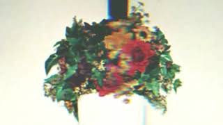 Not Strong Enough (slowed + reverb) - boygenius