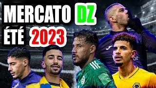 Mercato des Fennecs - été 2023 : Qui bouge, qui reste ? 🇩🇿⚽️