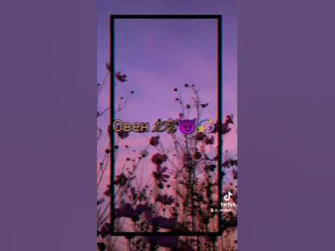 Милые зз (топ 5) - YouTube