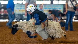 Grab A Handful Of Fur And Hang On. Kids Compete In Mutton Busting At North Texas Rodeo