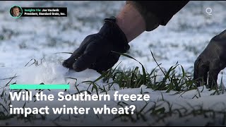 Will the Southern freeze impact U.S. winter wheat crops? screenshot 5