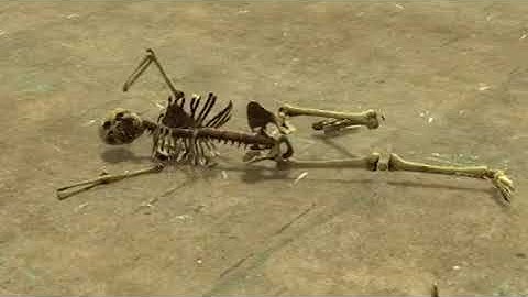 Lambda players imitate real players