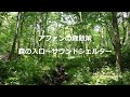 アファンの森散策（5月）　森の入口～サウンドシェルター
