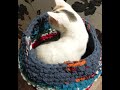 Вязание: Корзинка для кошки крючком из старых вещей.