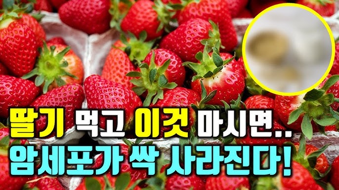 매백 딸기의 7가지 효능과 부작용에 대해 알아보세요. 매백 딸기의 7가지 효능과 부작용에 대해 알아보세요.