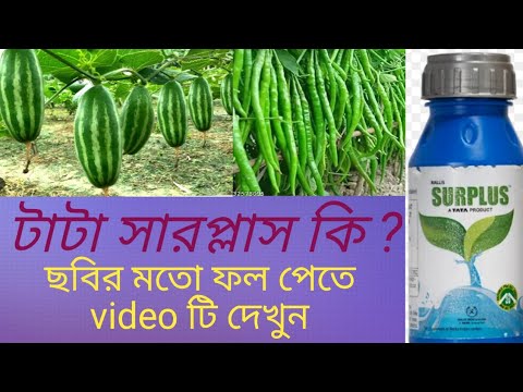 সারপ্লাস কি?Tata SURPLUS Uses in Bengali