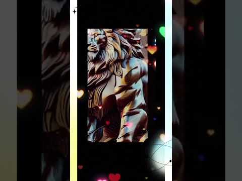 كنت بصبر قلبي عليك 2024 بهاء سلطان تصميمي  اغاني اكسبلور