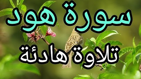 تلاوة سورة هود كاملة للقارئ احمد الشبلي | surah Hud
