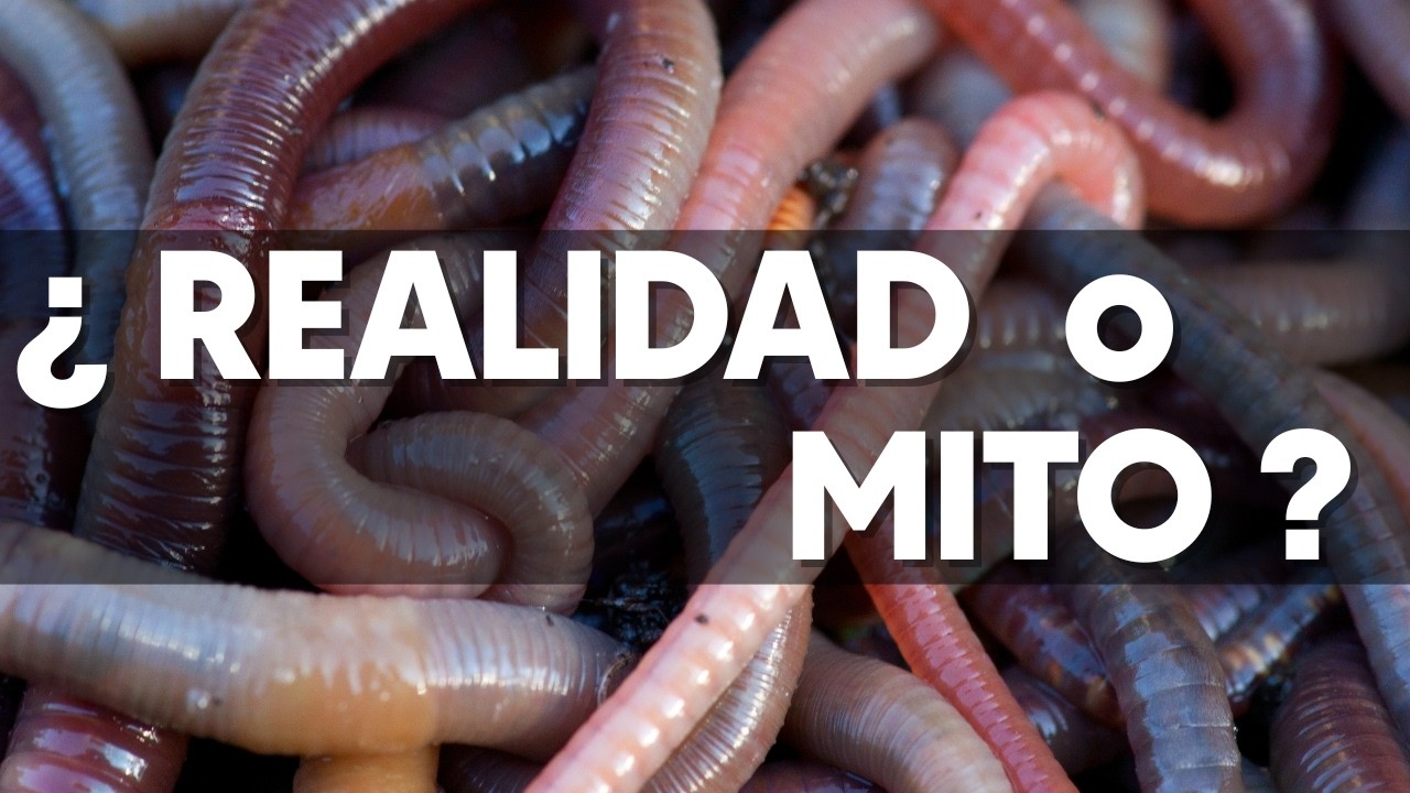 ¿Por qué el VERMICOMPOST siempre funciona? 🪱 El secreto de su Microbioma