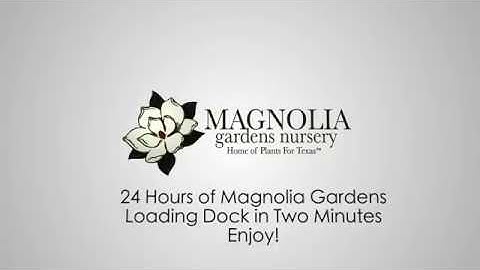 Watch Magnolia Gardens Loading Dock 24hr Time Lapse in 2 Minutes