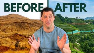 How China Turned Dirt Hills Into Organic Tea Farms