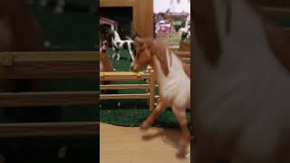 #Schleich #funny