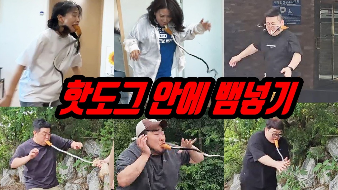 핫도그에서 뱀이 나온다면 모음집ㅋㅋㅋ 이게 여기서 왜나와!?