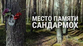 Место памяти о жертвах репрессий. Сандармох и Юрий Дмитриев