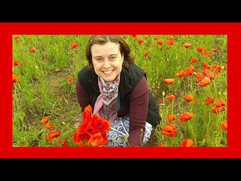 Методы лечения аутизма | Микрополяризация Методы лечения аутизма | Микрополяризация