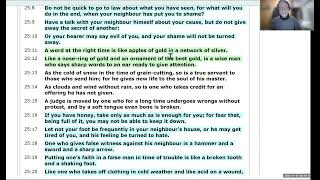 Bible Reading - Day 25: Proverbs 25 Guidance and Encouragement for the New Year | Daily Meditation