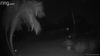 2 mysterious orbs of light caught on camera flying through Palm Coast yard
