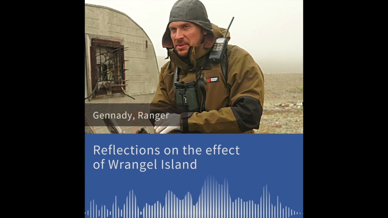 Wrangel Island Park Ranger, Gennady, talks about the profound effect the Island has had on him.