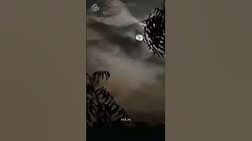 (ربنا ما خلقت هذا باطلا سبحانك فقنا عذاب النار ) #قران_كريم #تلاوة_خاشعة #سورة_آل_عمران #ذكر_الله