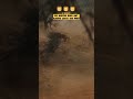 The battle of the death of the buffalo