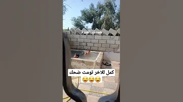 مين هذا الي يسبح بالمسبح Shorts ضيعة ضايعة جودي ضحك ضحكة 
