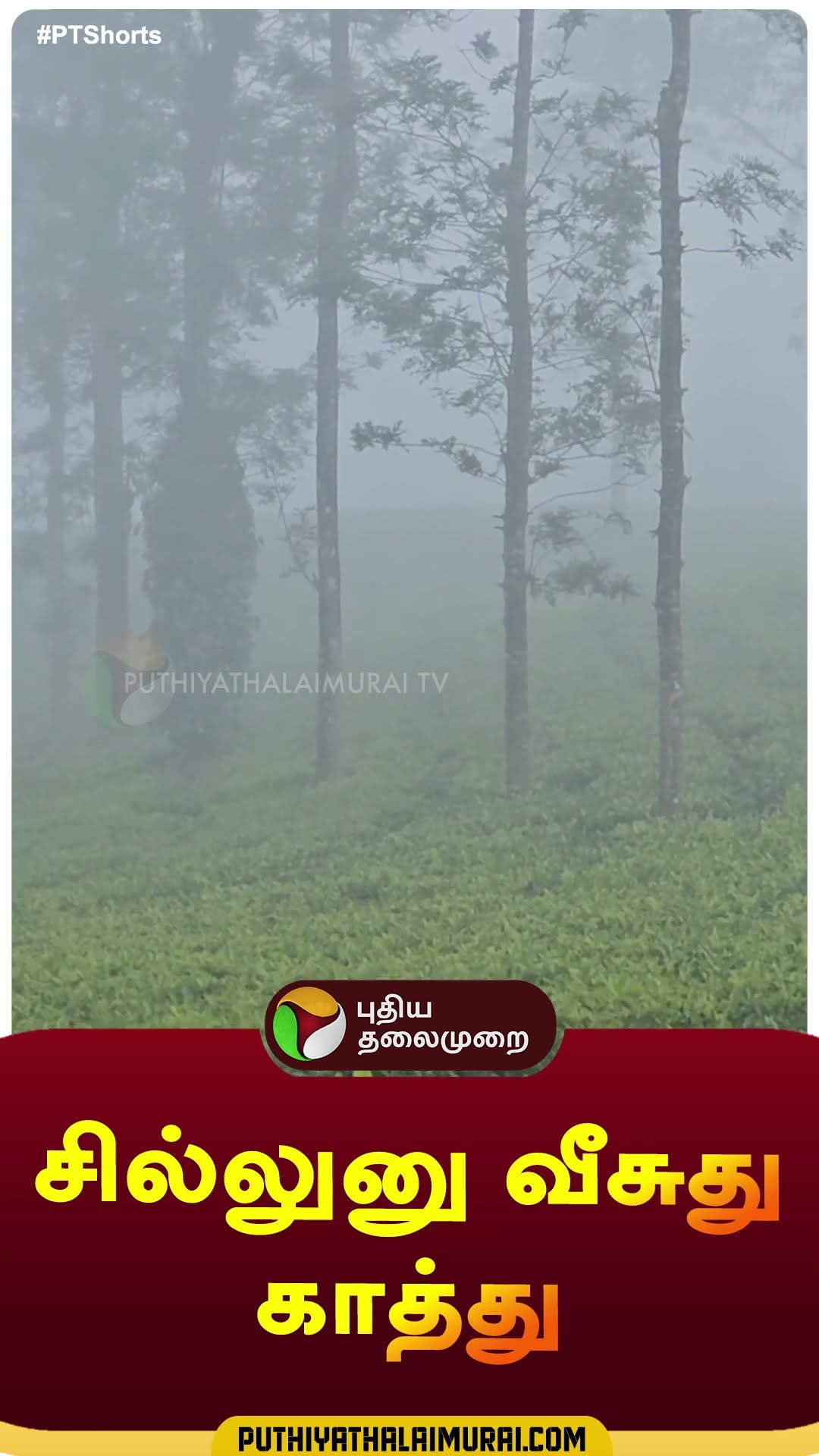 சில்லுனு வீசுது காத்து | #shorts | #gudalur | #frost
