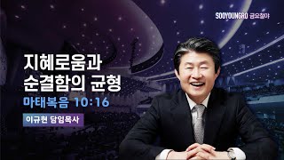 지혜로움과 순결함의 균형 | 마 10:16 | 이규현 목사 | 금요철야 | 24.1.12