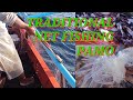 Traditional net fishing pamo || jackpot tulingan lumahan at pusit ||March 19,2021