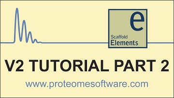 Scaffold Elements 2 Tutorial 2: Organizing Data in Scaffold Elements