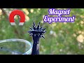 Simple and easy magnet science experiment