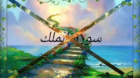 سورة الملك بصوت جميل جدا يبكي الحجر